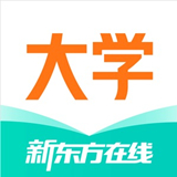 新东方大学考试