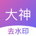 大神去水印app手机版