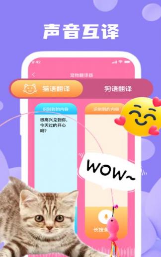 冰启猫狗语翻译